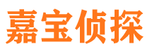 长岭侦探公司